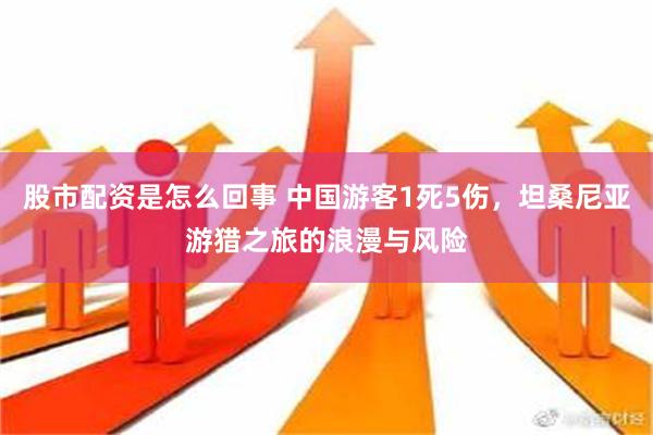 股市配资是怎么回事 中国游客1死5伤，坦桑尼亚游猎之旅的浪漫与风险