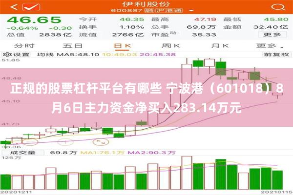 正规的股票杠杆平台有哪些 宁波港（601018）8月6日主力资金净买入283.14万元