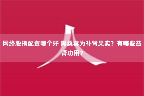 网络股指配资哪个好 黑桑葚为补肾果实？有哪些益肾功用？