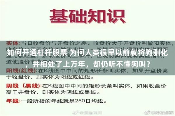 如何开通杠杆股票 为何人类很早以前就将狗驯化，并相处了上万年，却仍听不懂狗叫？