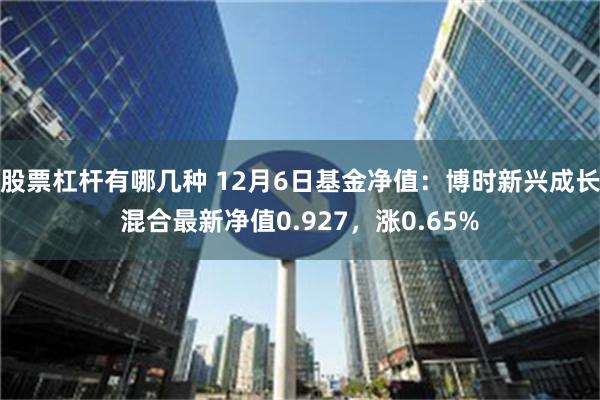 股票杠杆有哪几种 12月6日基金净值：博时新兴成长混合最新净值0.927，涨0.65%